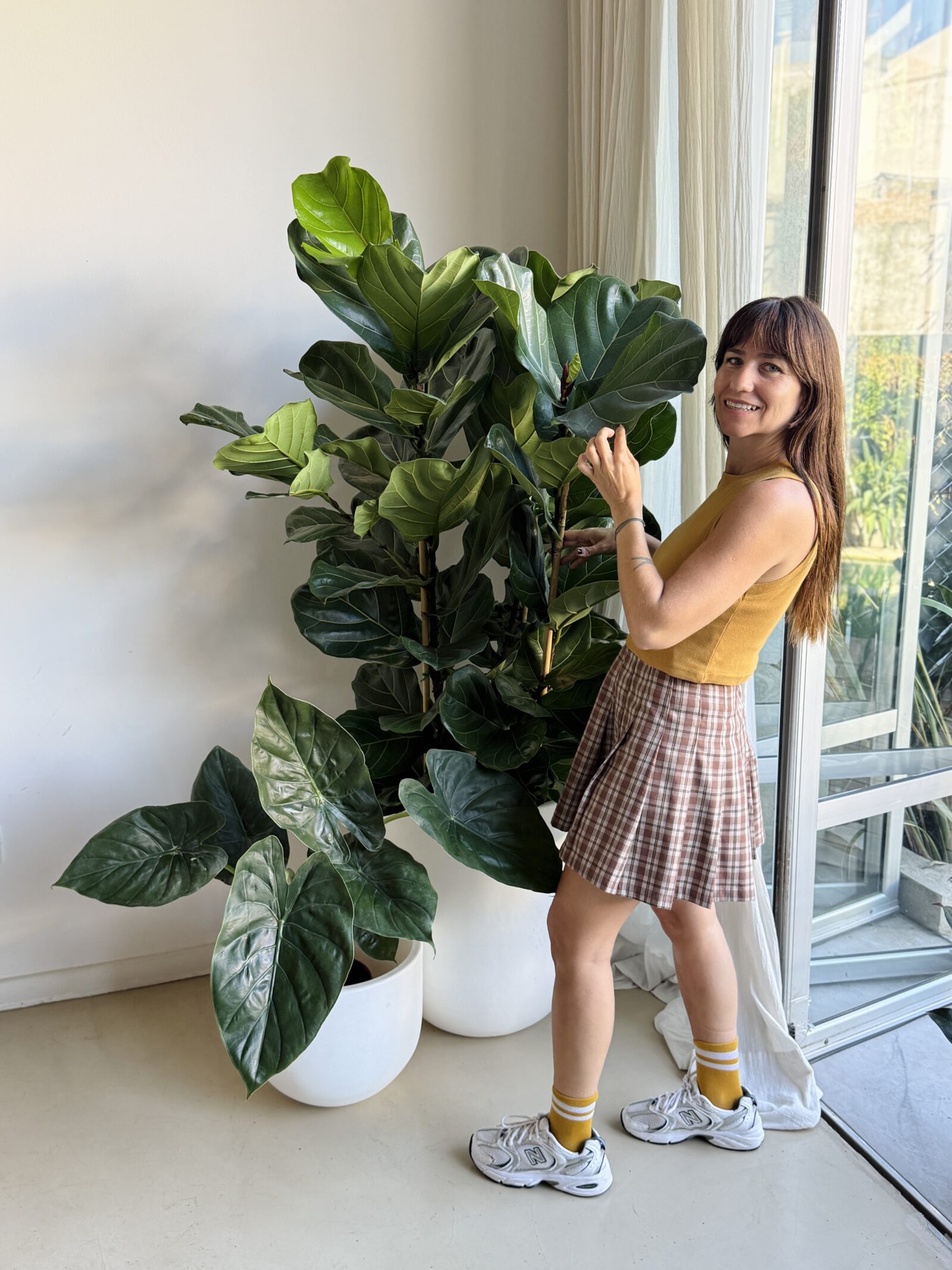 Mujer feliz junto a Ficus lyrata grande en living moderno, resultado de una asesoría de plantas para el hogar