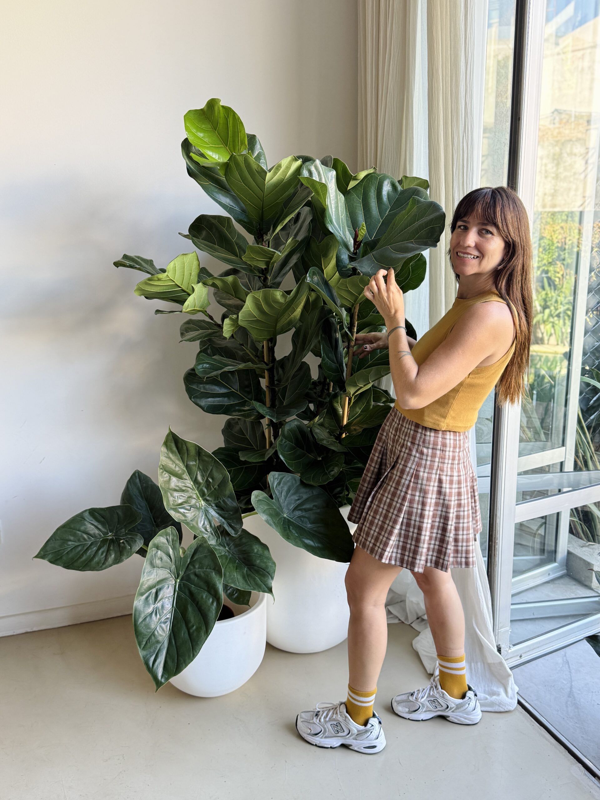 Mujer feliz junto a Ficus lyrata grande en living moderno, resultado de una asesoría de plantas para el hogar