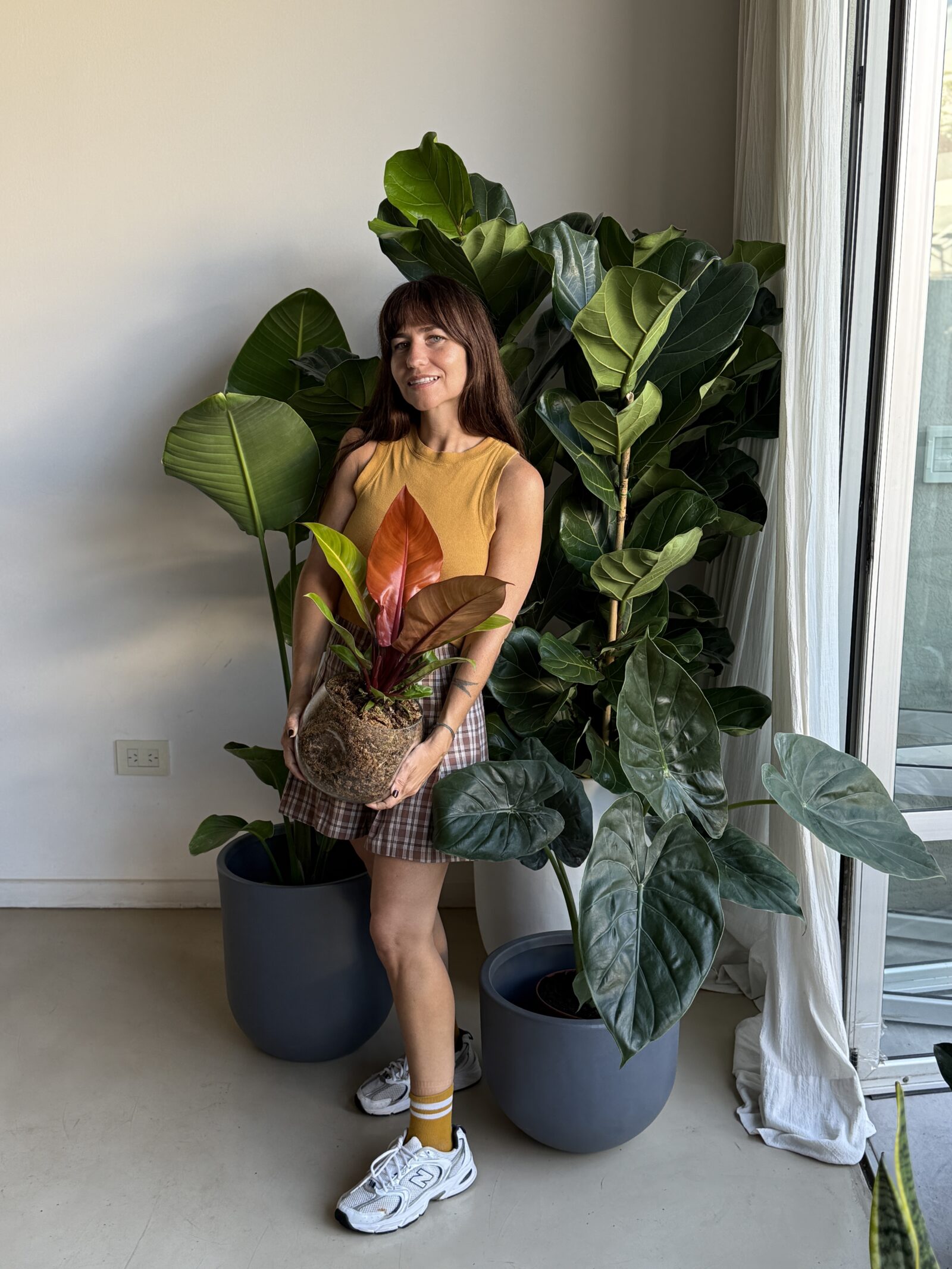 Colección de plantas de interior bien elegidas en distintas macetas, tips para elegir plantas en el vivero