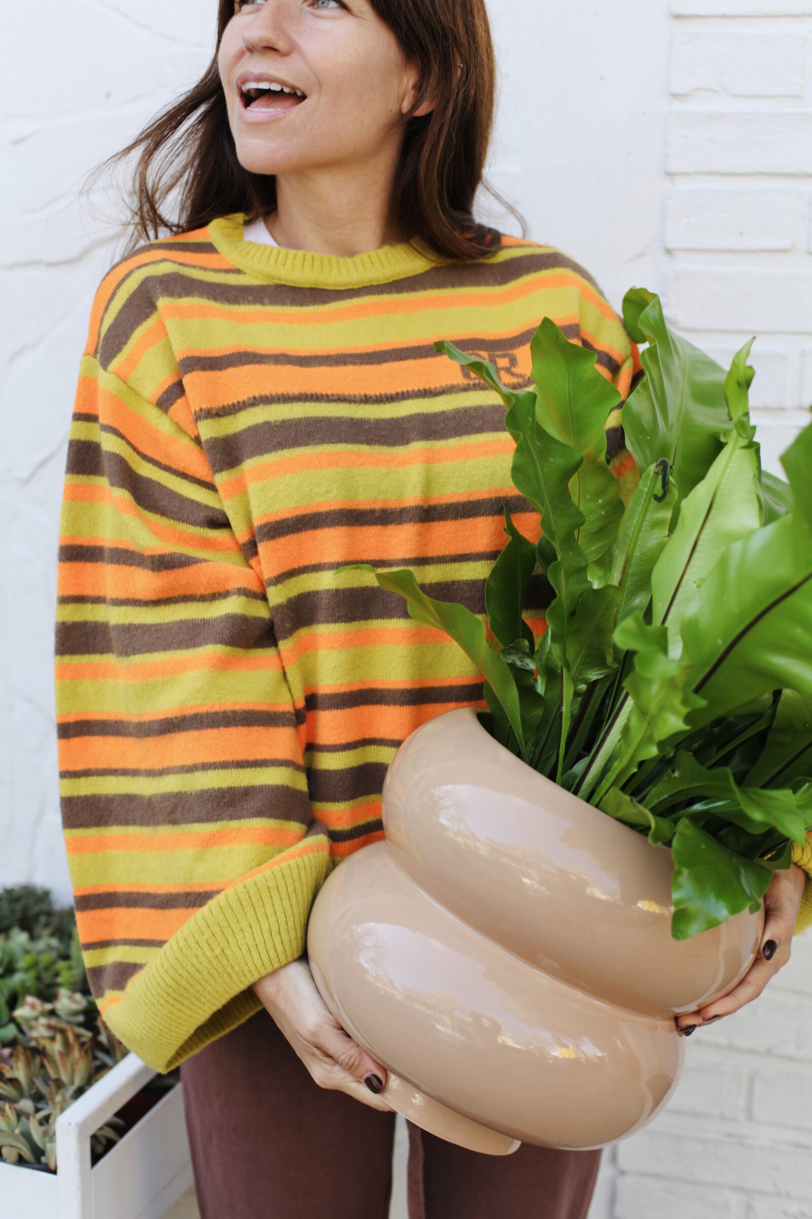 Persona sosteniendo planta verde exuberante en maceta cerámica de diseño, guía ABC de plantas de interior